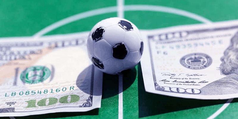 Tiến hành đặt cược hợp lý khi biết những thông tin cơ bản