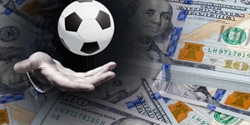 Cần học hỏi và tích lũy kinh nghiệm trước khi cá cược kèo