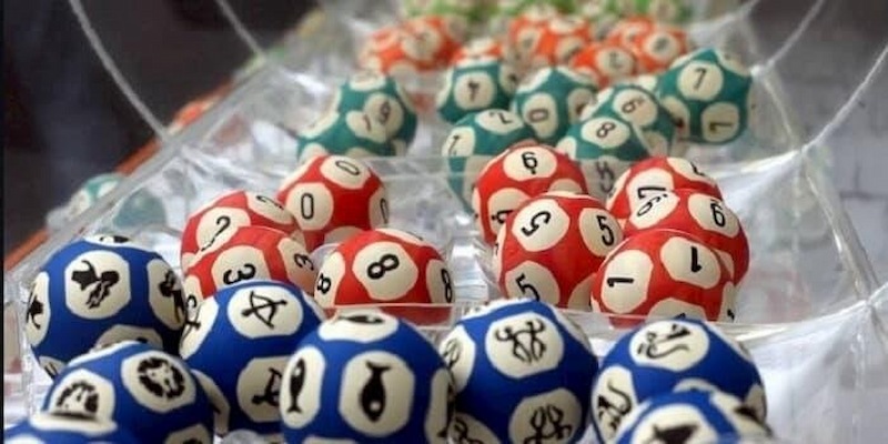 Câu chuyện của chị Trần Thị Bích Hồng