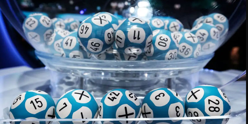 Lựa chọn thời gian và chia vốn nuôi lô hợp lý