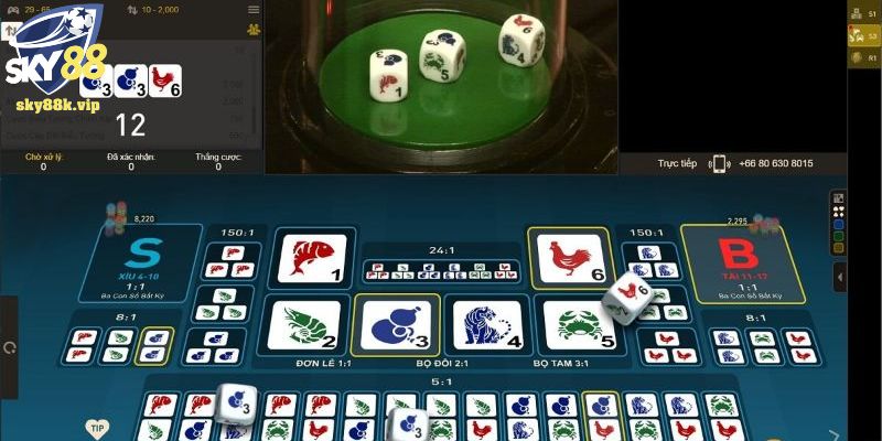 Cách đoán bầu cua chuẩn xác đảm bảo chiến thắng