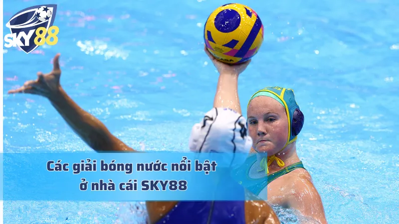 Tổng hợp những giải đấu bóng nước mà cược thủ không thể bỏ qua