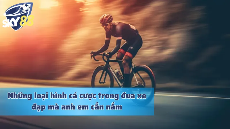 Các loại hình trong bộ môn này anh em cần nắm