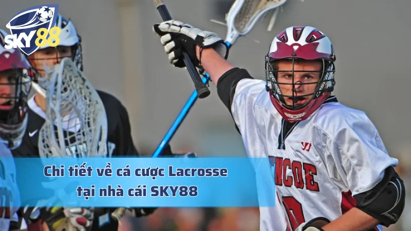 Cá cược lacrosse và những thông tin đáng chú ý