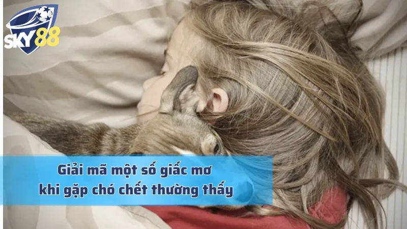 Giải mã giấc mơ khi thấy cho chết chi tiết và chuẩn chỉ