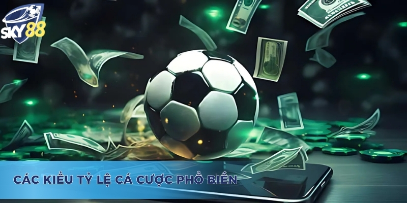 Các loại hình của odds là gì?