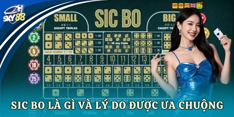 Sic bo là gì và lý do được ưa chuộng